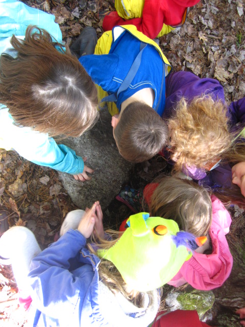 After we found plants, then we found bugs, one looked like a little tiny skinny worm and the other looked like a beetle. To find animals,  we talked about where they might be...underground and under rocks. And that is where we found them.